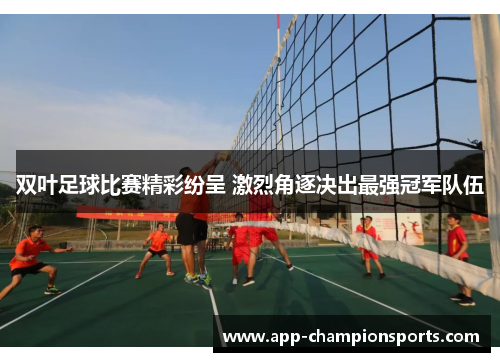 双叶足球比赛精彩纷呈 激烈角逐决出最强冠军队伍